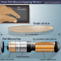 will a vet rfid scanner work an a humen rifd|How the Pet Microchip Works .